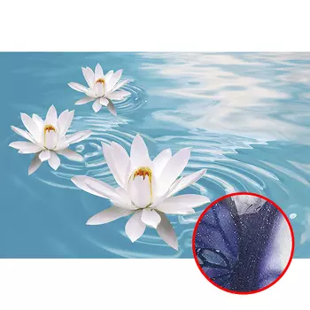 Фреска Ortograf