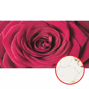 Фреска Ortograf