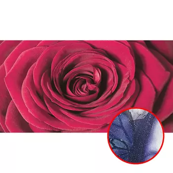 Фреска Ortograf