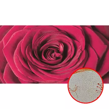 Фреска Ortograf