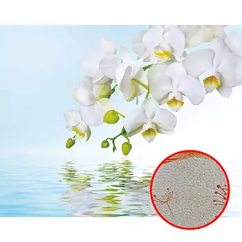 Фреска Ortograf