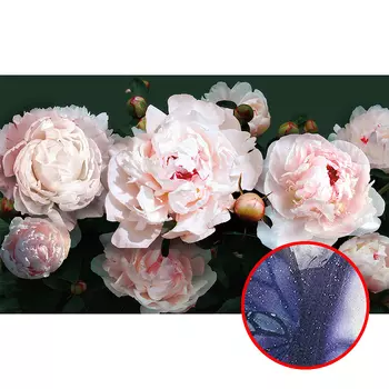 Фреска Ortograf