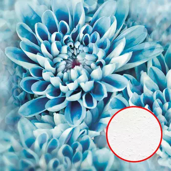 Фреска Ortograf