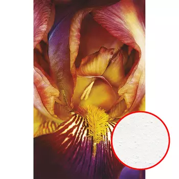 Фреска Ortograf