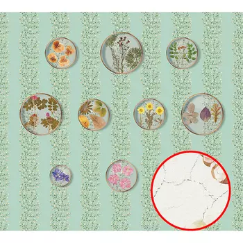 Фреска Ortograf