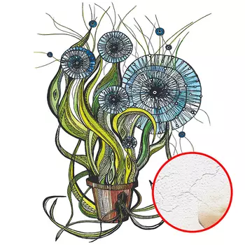 Фреска Ortograf