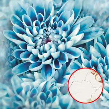 Фреска Ortograf