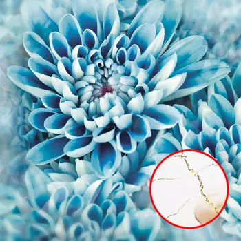 Фреска Ortograf