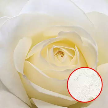 Фреска Ortograf