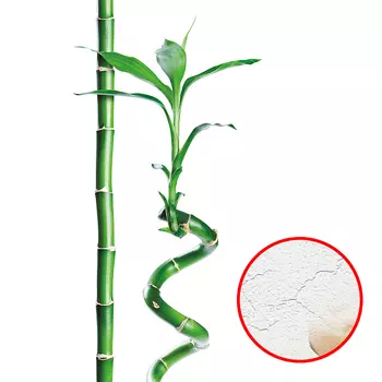 Фреска Ortograf