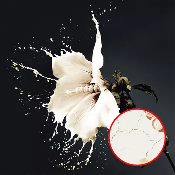 Фреска Ortograf