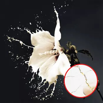 Фреска Ortograf