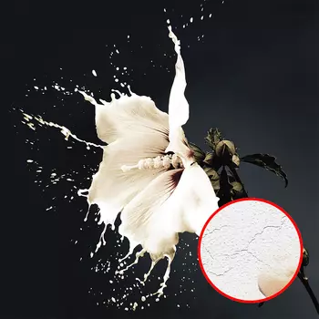 Фреска Ortograf