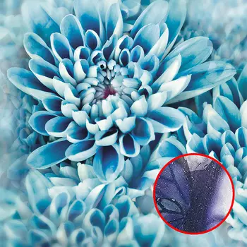 Фреска Ortograf