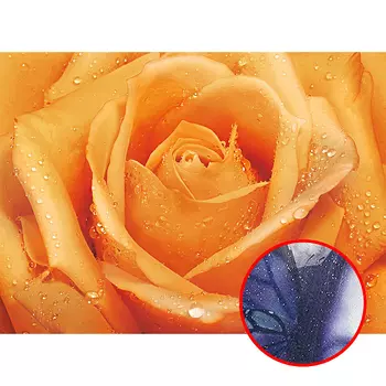 Фреска Ortograf