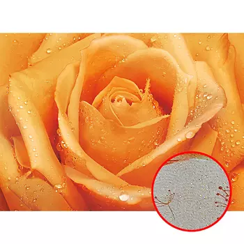 Фреска Ortograf