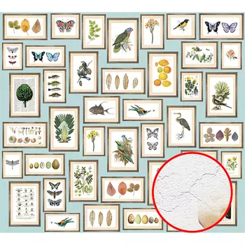 Фреска Ortograf