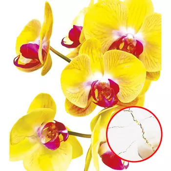 Фреска Ortograf