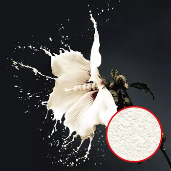 Фреска Ortograf