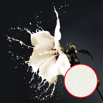 Фреска Ortograf