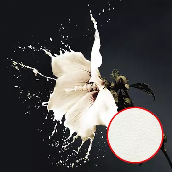 Фреска Ortograf