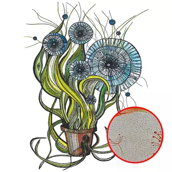 Фреска Ortograf