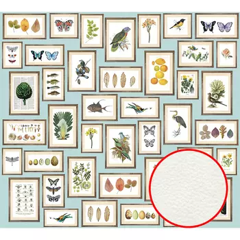 Фреска Ortograf