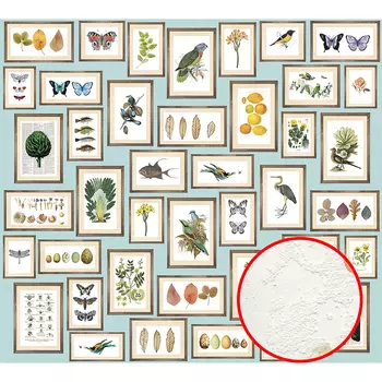 Фреска Ortograf