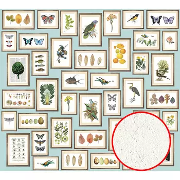 Фреска Ortograf