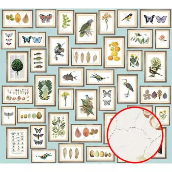 Фреска Ortograf