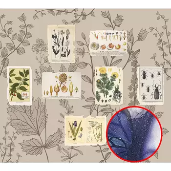 Фреска Ortograf