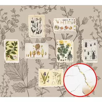 Фреска Ortograf