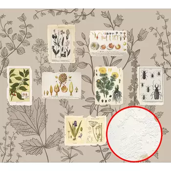 Фреска Ortograf