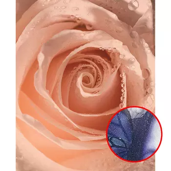 Фреска Ortograf