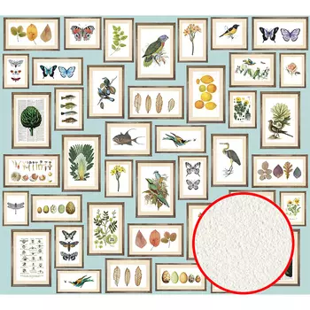 Фреска Ortograf