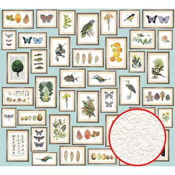 Фреска Ortograf