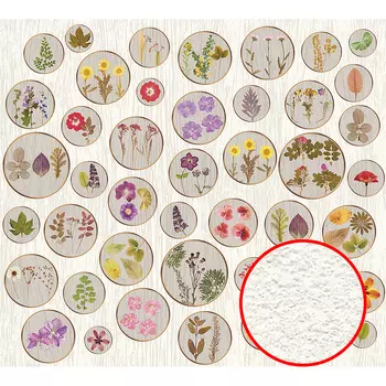 Фреска Ortograf