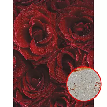 Фреска Ortograf