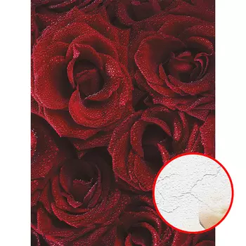 Фреска Ortograf