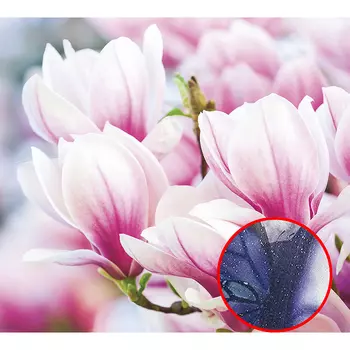 Фреска Ortograf