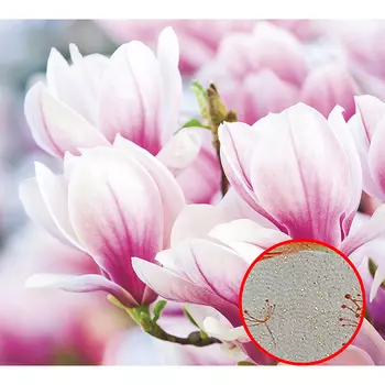 Фреска Ortograf