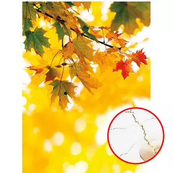 Фреска Ortograf