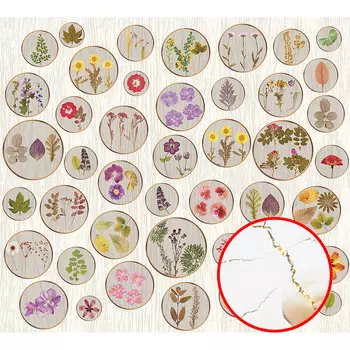 Фреска Ortograf