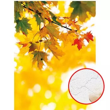 Фреска Ortograf