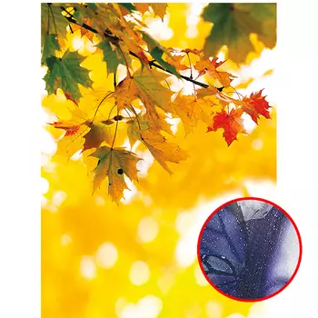 Фреска Ortograf