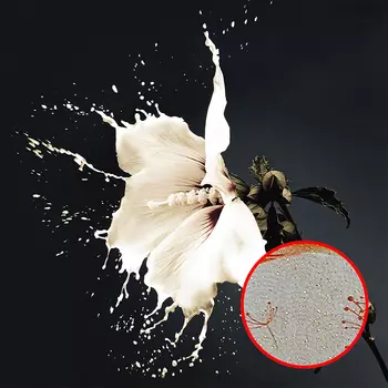 Фреска Ortograf