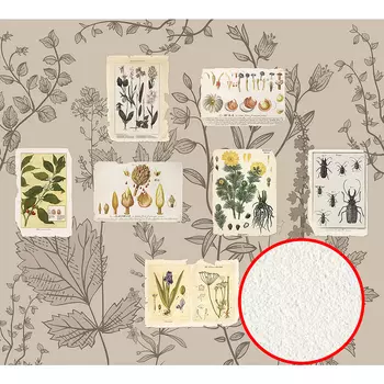 Фреска Ortograf