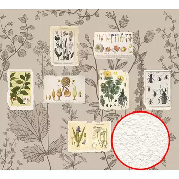 Фреска Ortograf