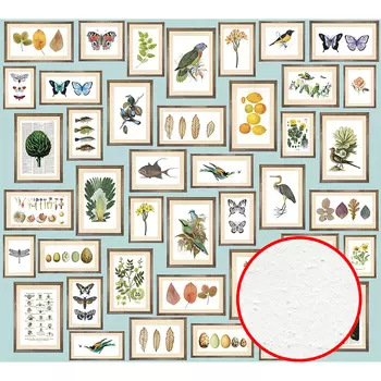 Фреска Ortograf