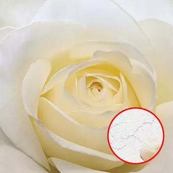 Фреска Ortograf